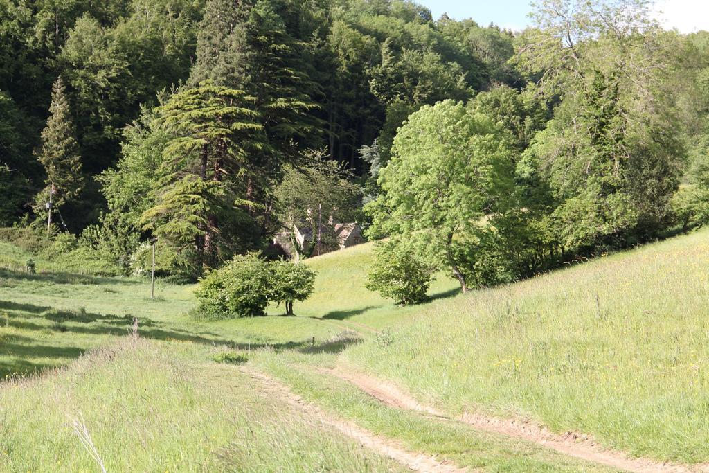 Owlpen Manor Cottages Uley Екстериор снимка